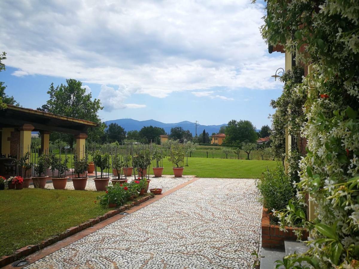 B&B La Fornace Del Sole Capannori Exteriör bild