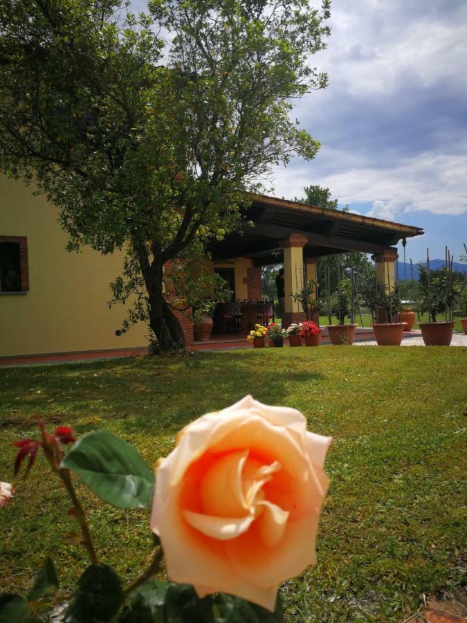 B&B La Fornace Del Sole Capannori Exteriör bild